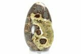 Calcite Crystal Filled Septarian Geode Egg - Utah #231071-1